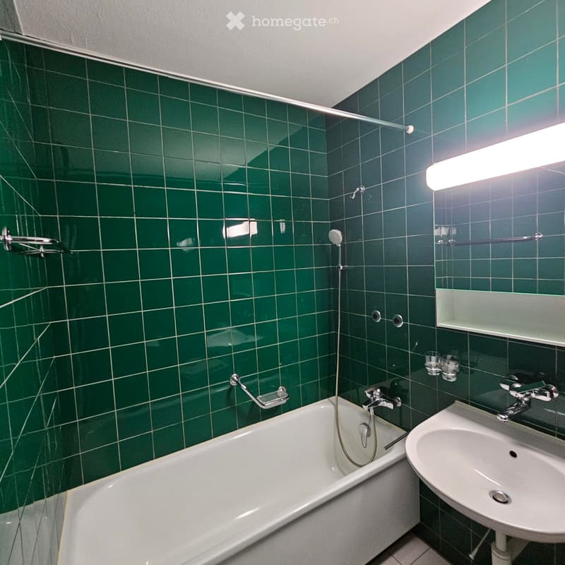 Tolle 1-Zimmerwohnung in bester städtischer Lage! (7)