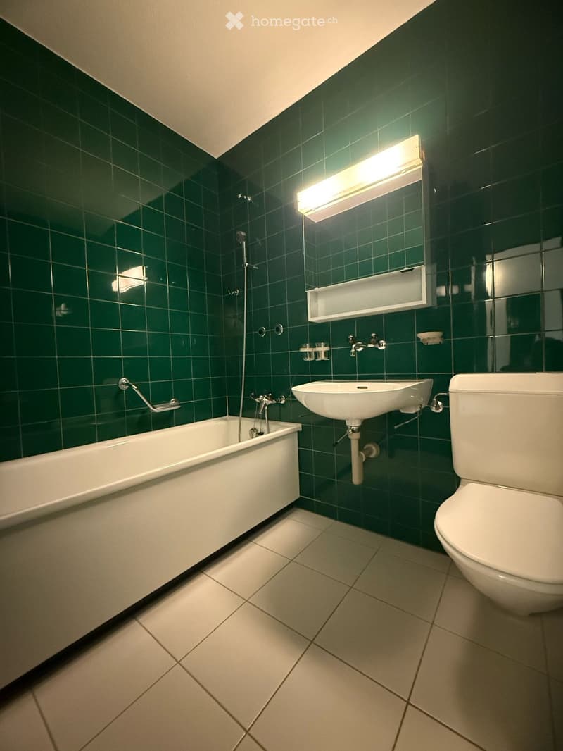 Tolle Singlewohnung in bester städtischer Lage! (7)