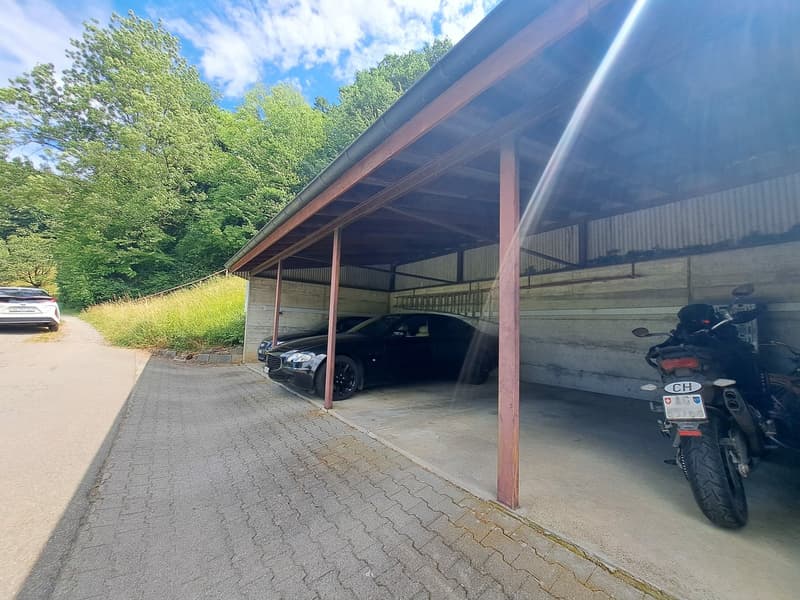 3'084 m² sonniges Hangparadies - mit renditestarkem Dreifamilienhaus (8)