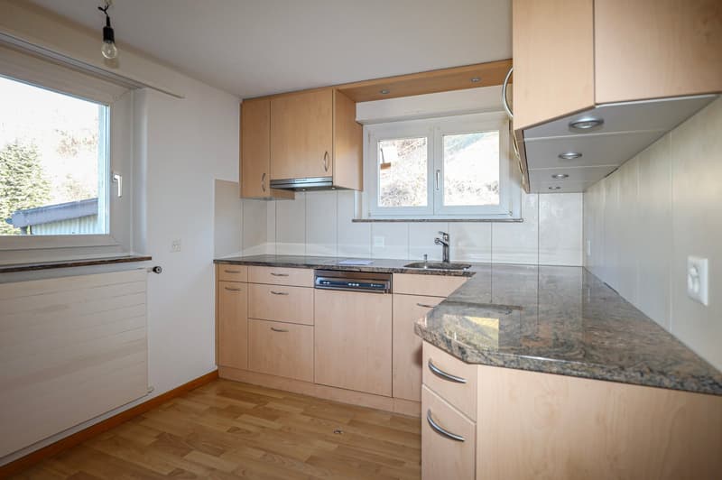 3'084 m² sonniges Hangparadies - mit renditestarkem Dreifamilienhaus (29)