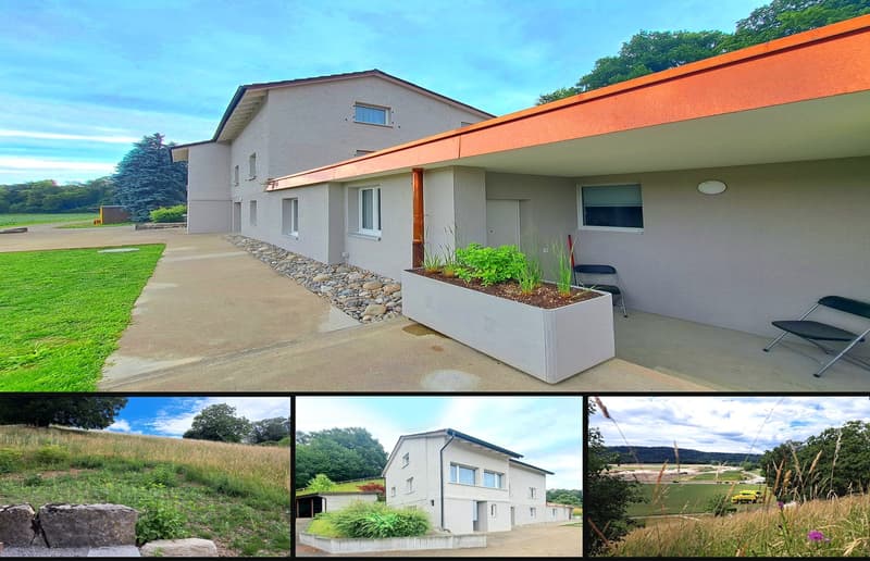 3'084 m² sonniges Hangparadies - mit renditestarkem Dreifamilienhaus (1)
