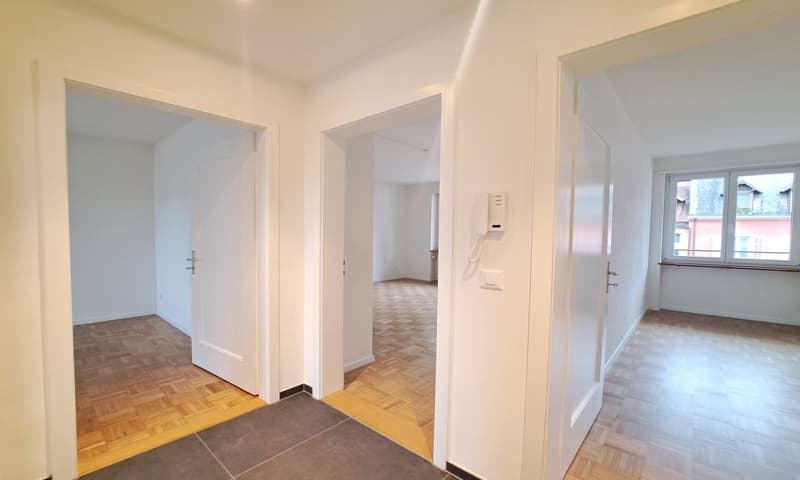 City Apartment in Baden – 3 Zimmer - Dynamostrasse 9 in Baden (11)