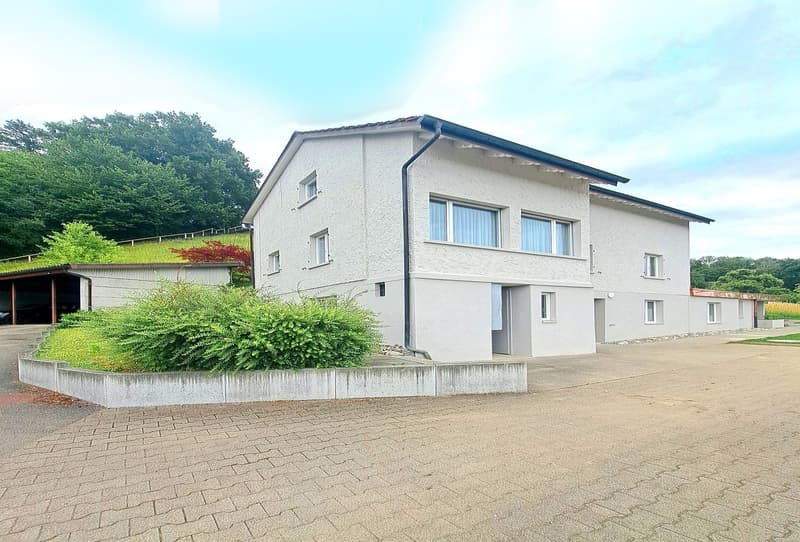 3'084 m² sonniges Hangparadies - mit renditestarkem Dreifamilienhaus (5)