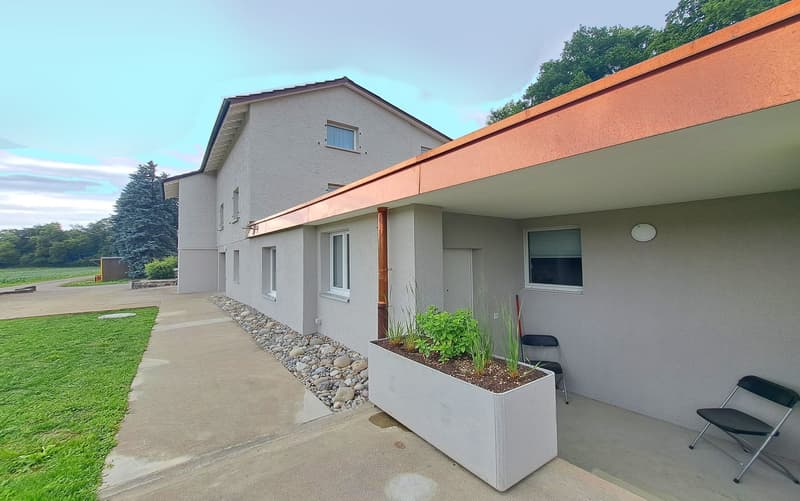 3'084 m² sonniges Hangparadies - mit renditestarkem Dreifamilienhaus (4)