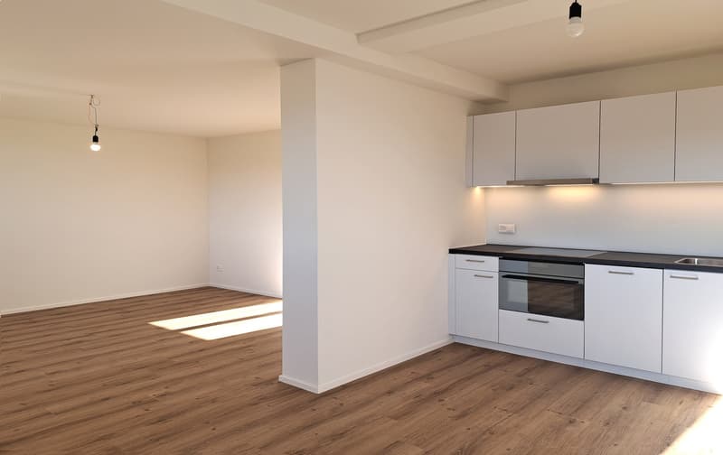 3'084 m² sonniges Hangparadies - mit renditestarkem Dreifamilienhaus (19)
