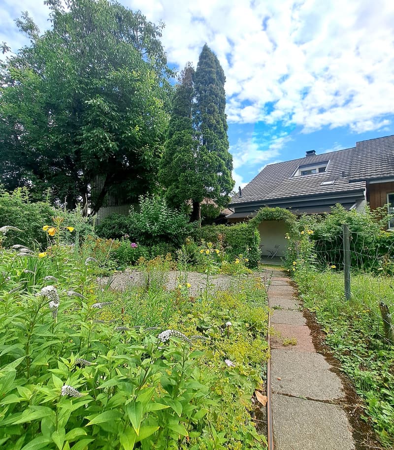 Charmantes Einfamilienhaus in Rütihof-Baden – mit idyllischem Garten (14)