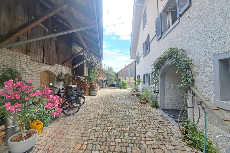 Charmantes Einfamilienhaus in Rütihof-Baden – mit idyllischem Garten (9)