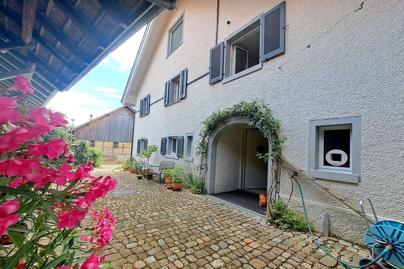 Charmantes Einfamilienhaus in Rütihof-Baden – mit idyllischem Garten (10)