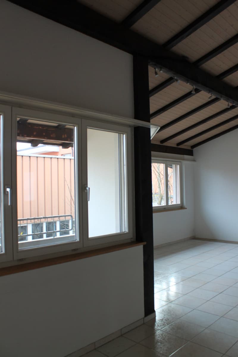 4.5-Zimmer-Wohnung mit Cheminée in Schönenbuch (3)