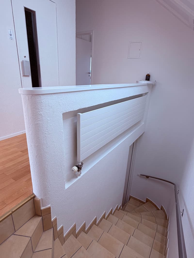 Helle 3-Zimmer-Dachwohnung mit direktem Liftzugang (5)
