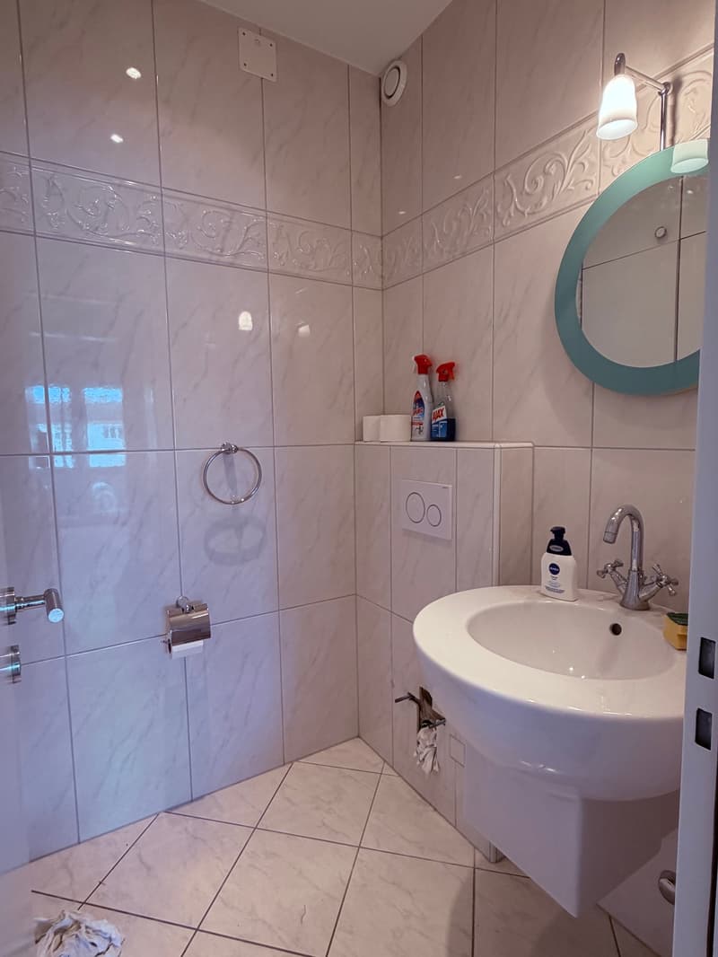Helle 3-Zimmer-Dachwohnung mit direktem Liftzugang (10)