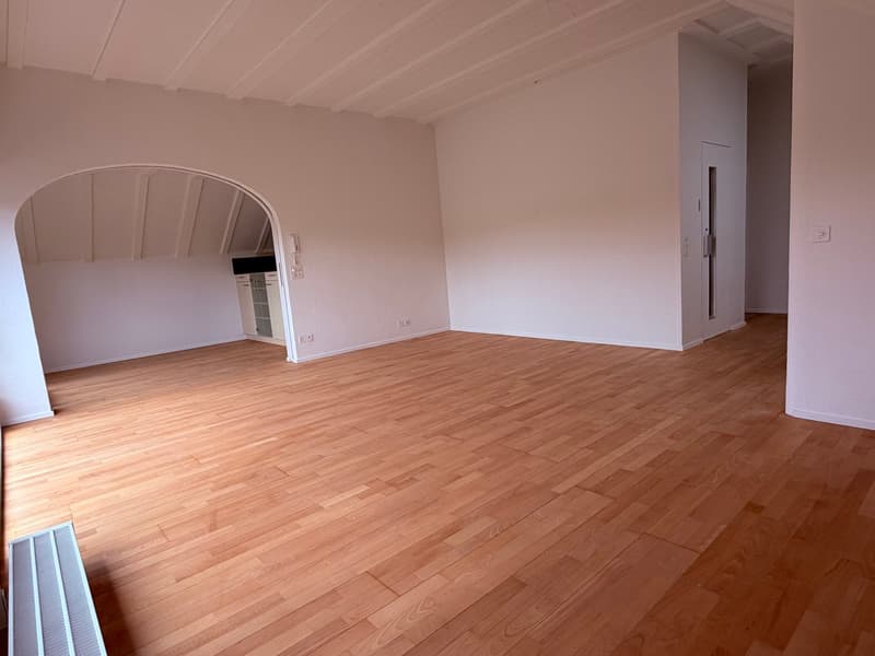 Helle 3-Zimmer-Dachwohnung mit direktem Liftzugang (4)