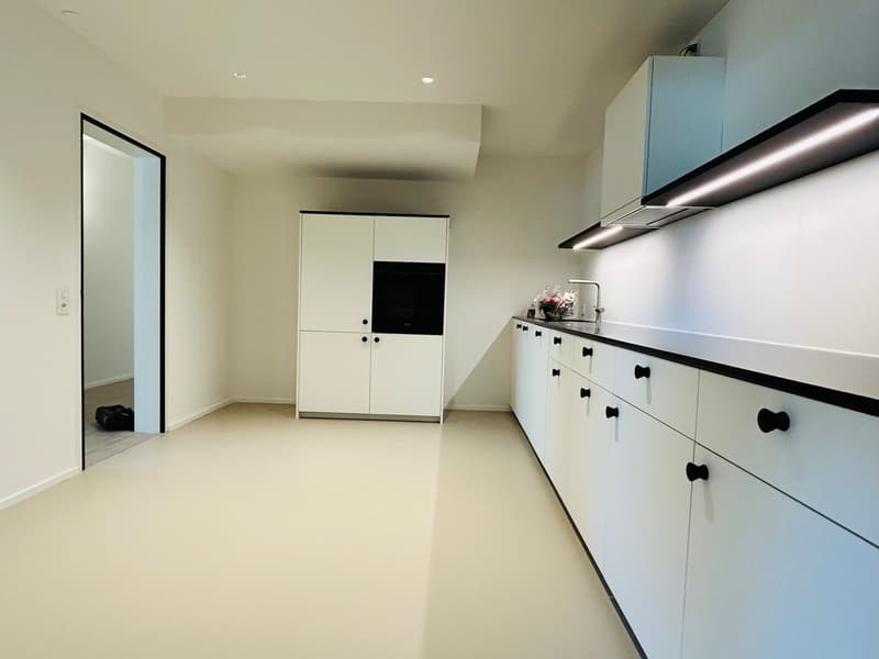 Renovierte 3.5-Zimmer-Garten-Wohnung direkt am Rhein (5)