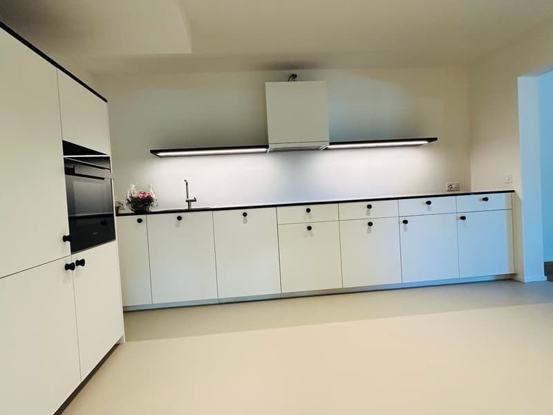 Renovierte 3.5-Zimmer-Garten-Wohnung direkt am Rhein (4)