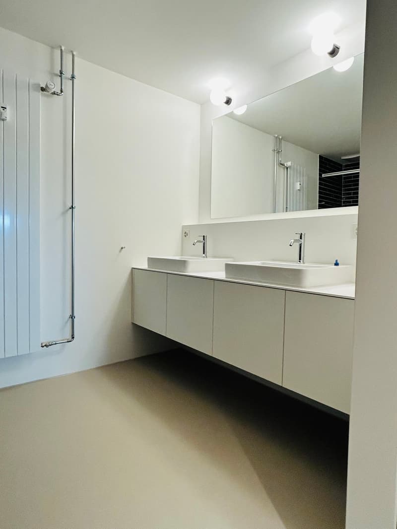 Renovierte 3.5-Zimmer-Garten-Wohnung direkt am Rhein (9)