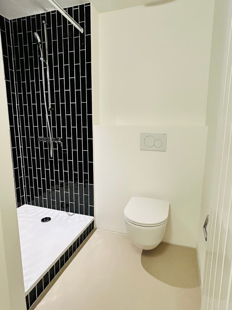 Renovierte 3.5-Zimmer-Garten-Wohnung direkt am Rhein (11)