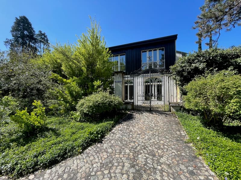 Büro/Praxis in historischer Villa an exklusiver, diskreter Stadtlage (7)