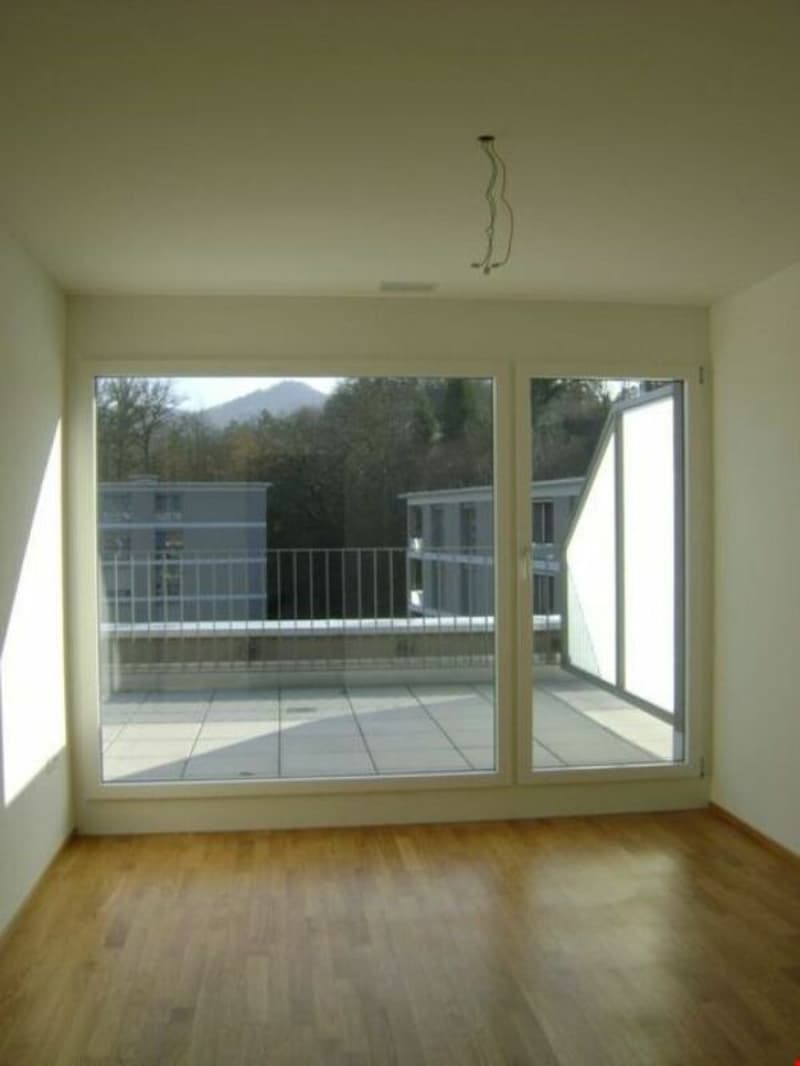 Sonnige, moderne 3,5-Zimmer-Attikawohnung mit grosser Terrasse (10)