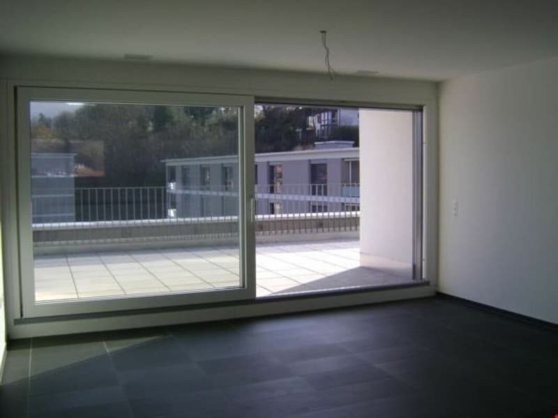 Sonnige, moderne 3,5-Zimmer-Attikawohnung mit grosser Terrasse (6)