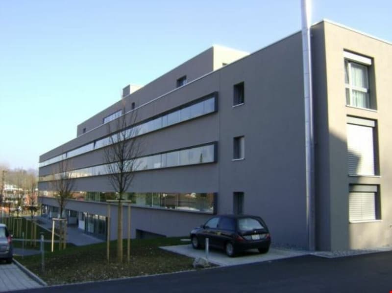 Sonnige, moderne 3,5-Zimmer-Attikawohnung mit grosser Terrasse (2)