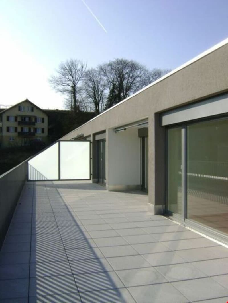 Sonnige, moderne 3,5-Zimmer-Attikawohnung mit grosser Terrasse (4)