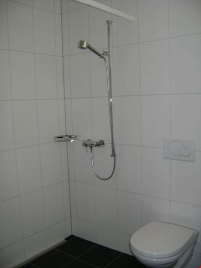 Sonnige, moderne 3,5-Zimmer-Attikawohnung mit grosser Terrasse (8)