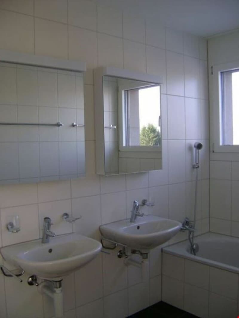 Sonnige, moderne 3,5-Zimmer-Attikawohnung mit grosser Terrasse (7)
