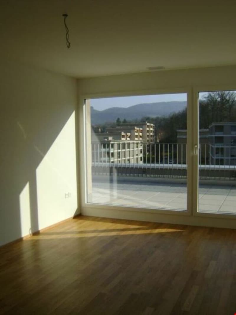 Sonnige, moderne 3,5-Zimmer-Attikawohnung mit grosser Terrasse (9)