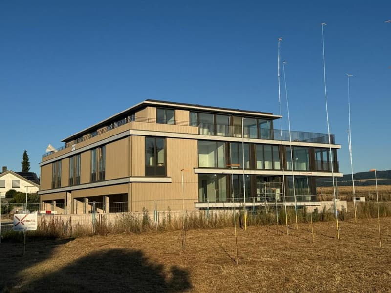 Erstvermietung: moderne Wohnungen an exklusiver Lage auf dem Bruderholz (2)