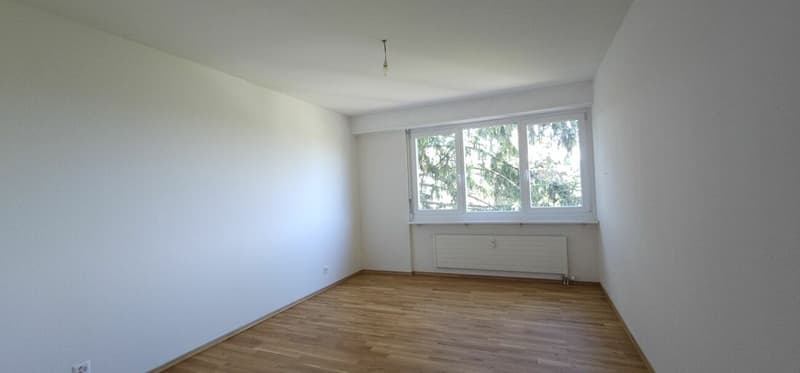 Sanierte 5-Zimmerwohnung an gut angebundener Lage (8)