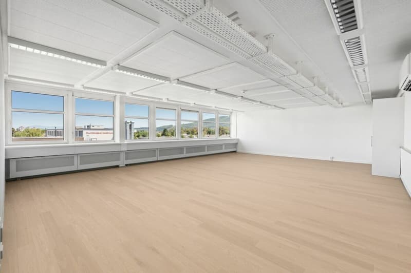 grosszügiger Open-Space-Bereich (Bodenbelag virtualisiert)