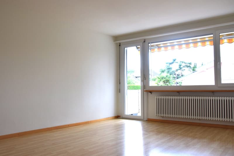 empty room, white walls, wooden floor, sliding glass door, windows, radiator