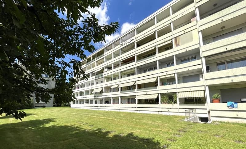 Immobilie Garten