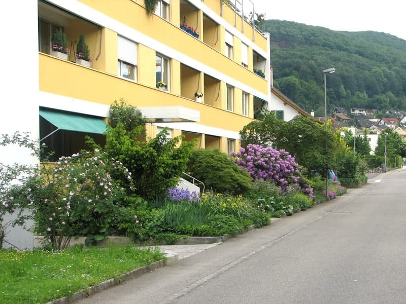 Liegenschaft