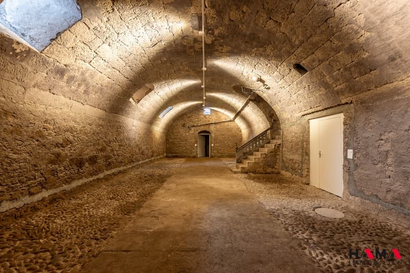 Büro/Praxis/Gewerbe/Lagerräume in historischem Gebäude ab 67 m2 (4)