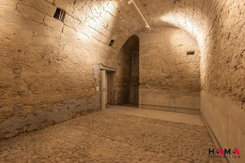 Büro/Praxis/Gewerbe/Lagerräume in historischem Gebäude ab 67 m2 (5)