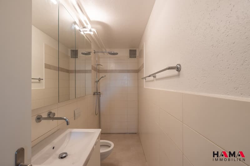 Geräumiges 6.5-Zimmer-Terrassenhaus mit Sauna an bester Lage in Zofingen (23)