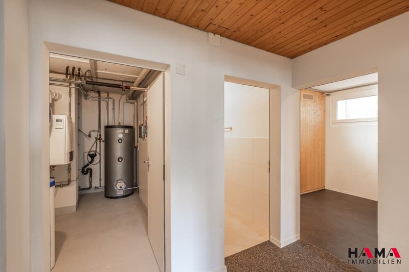 Geräumiges 6.5-Zimmer-Terrassenhaus mit Sauna an bester Lage in Zofingen (21)