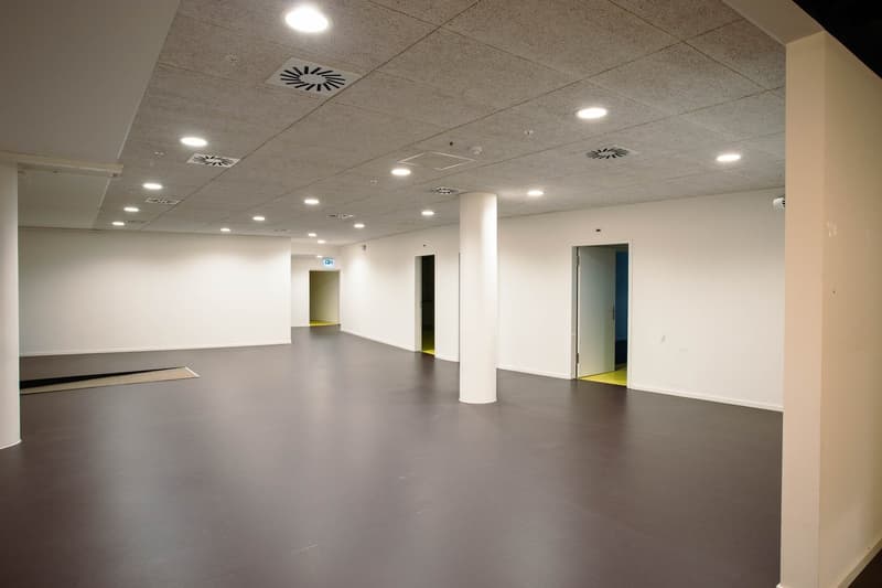 Moderne Praxis-  oder Fitnessfläche an zentraler Basler Lage (3)