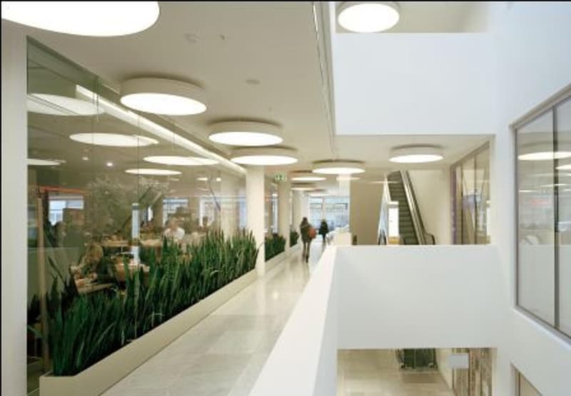 an office building with people seated in the cafe, white floor, a staircase, and a wall with a line of green plants