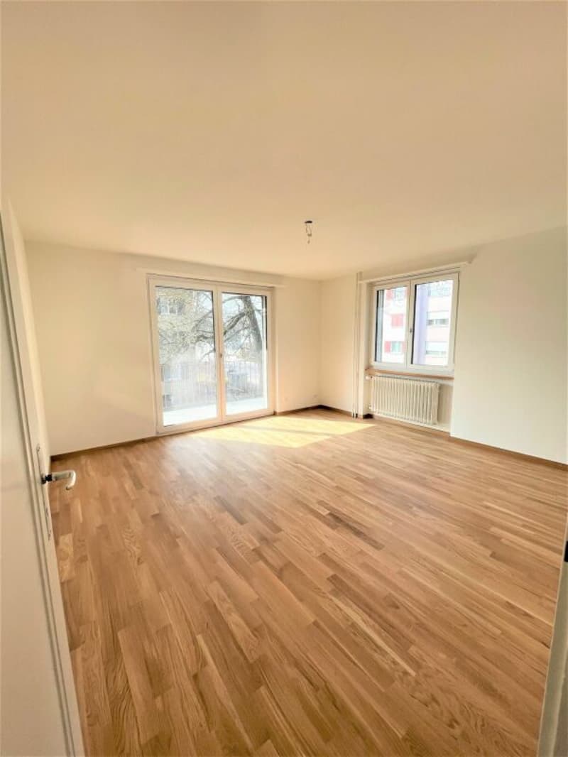 Gemütliche 2-Zimmerwohnung zu vermieten (2)