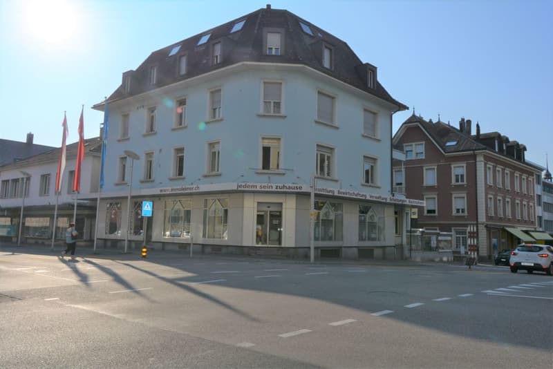 Lichtdurchflutete Stadtwohnung mitten im Zentrum (6)