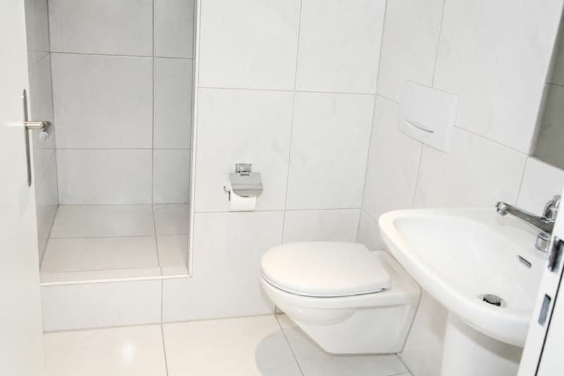 Freistehendesd EFH mit Ausbaupotenzial (16)