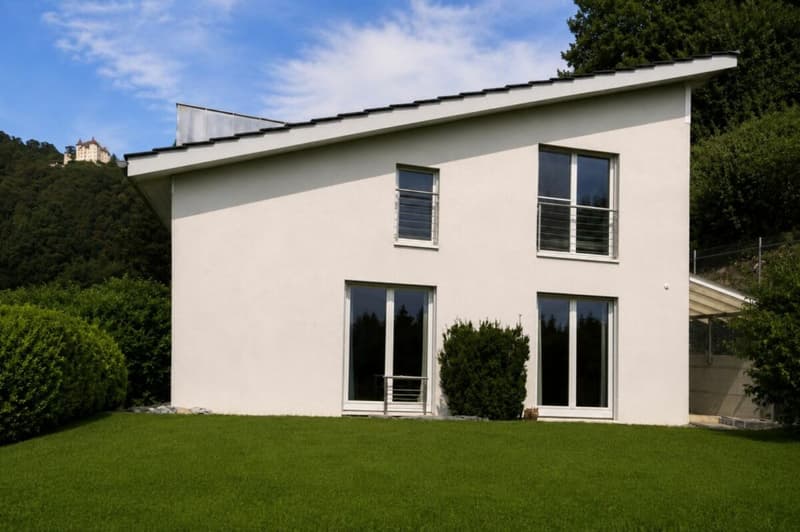 Freistehendesd EFH mit Ausbaupotenzial (4)