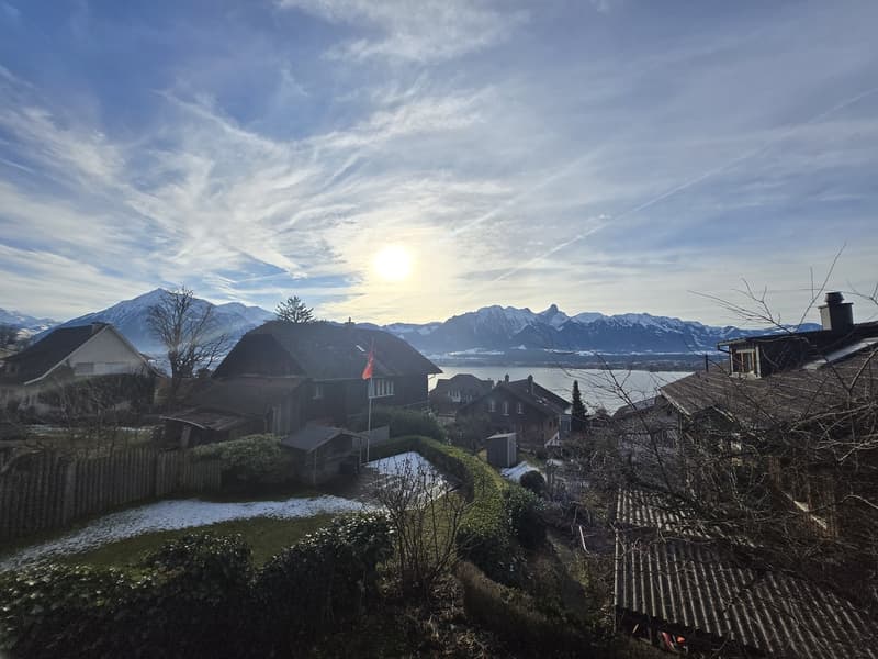 5.5 Zimmer-Doppeleinfamilienhaus in Hilterfingen (2)