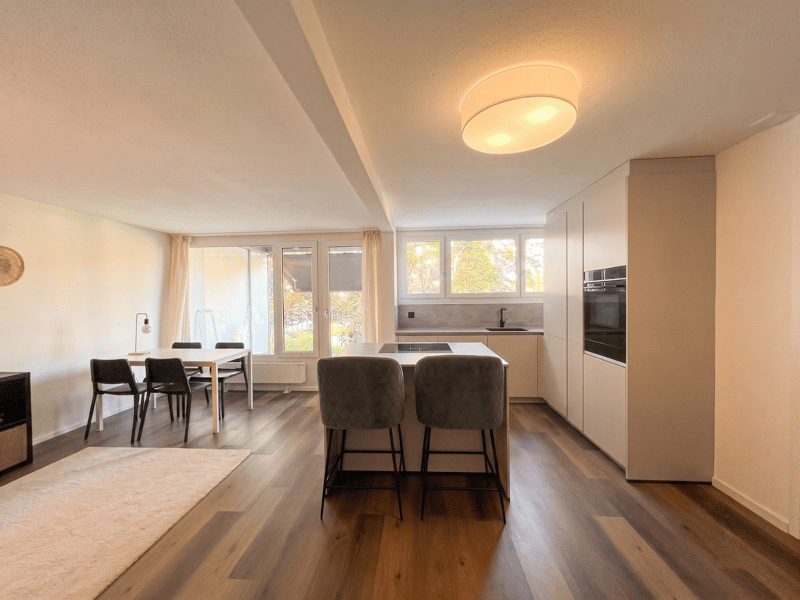 2.5 Zimmer-Wohnung in Thun (3)