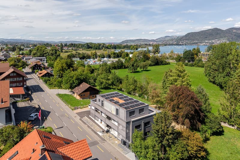 2.5 Zimmer-Attika-Wohnung im Gwatt (12)
