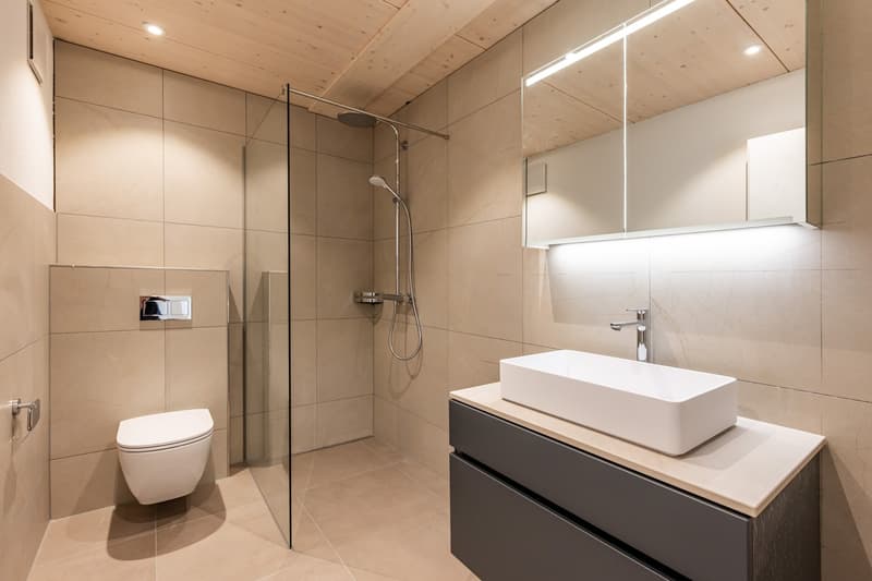 2.5 Zimmer-Attika-Wohnung im Gwatt (9)