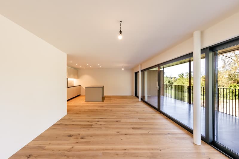 3.5 Zimmer-Neubau-Wohnung im Gwatt (1)