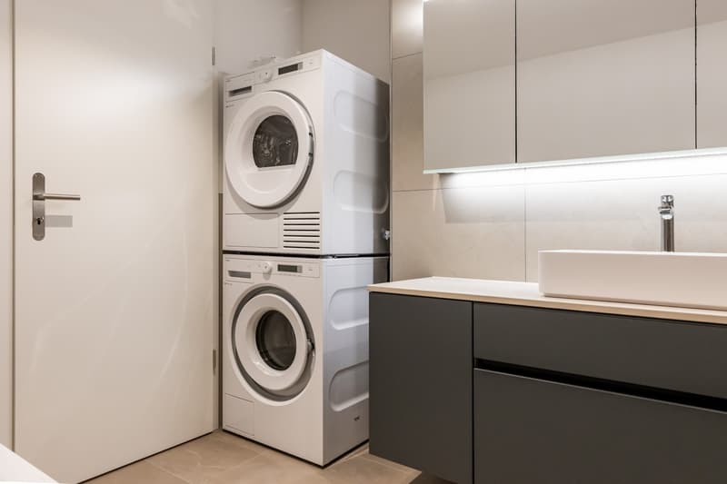 2.5 und 3.5 Zimmer-Ferien-Wohnung am Thunersee (12)
